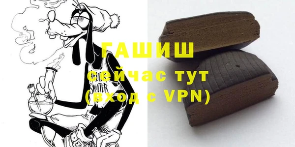гидра Богданович