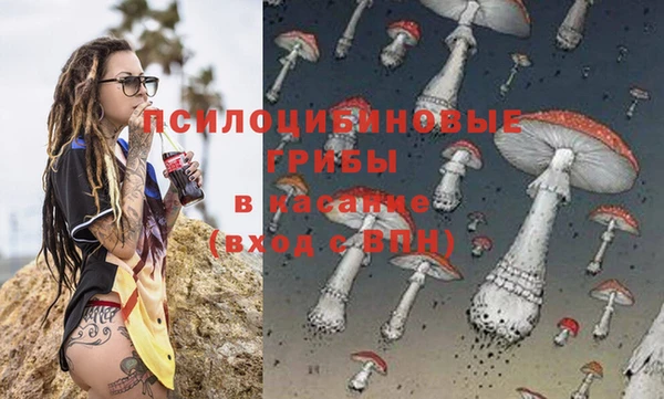 МДПВ Белокуриха