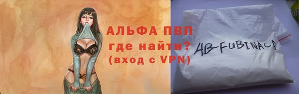 СК Богородицк