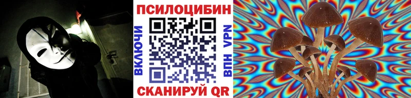 Купить где  Приморск  Псилоцибиновые грибы Magic Shrooms 